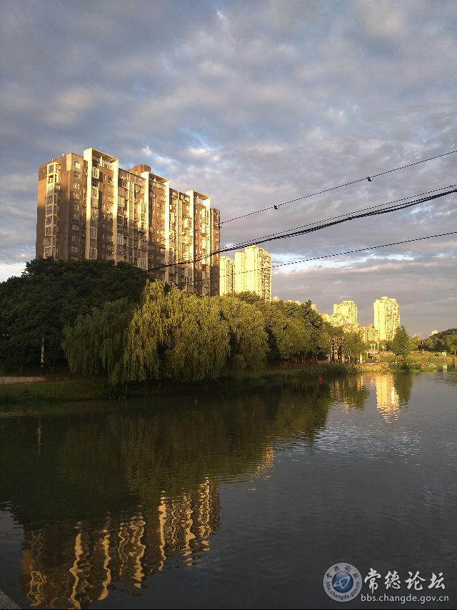 触屏版