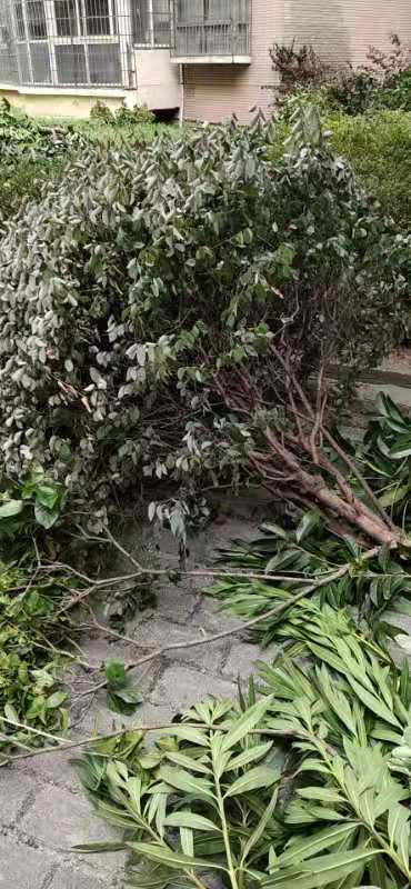 触屏版
