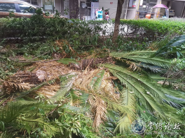 触屏版