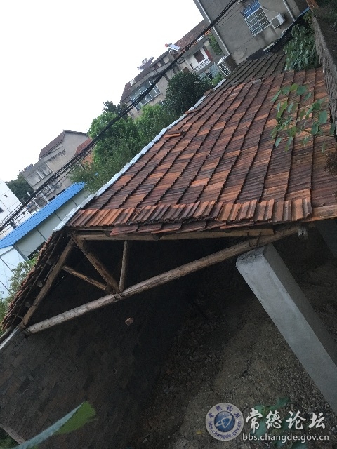 触屏版