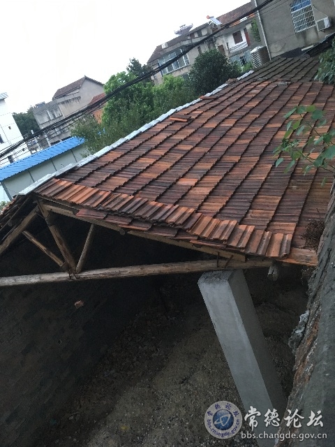 触屏版