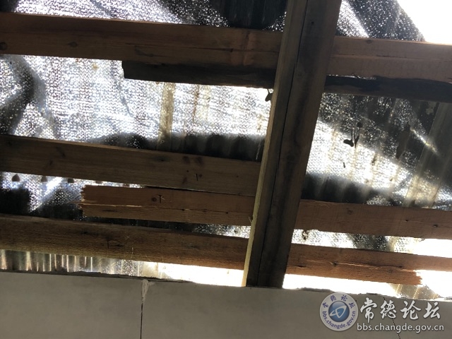触屏版