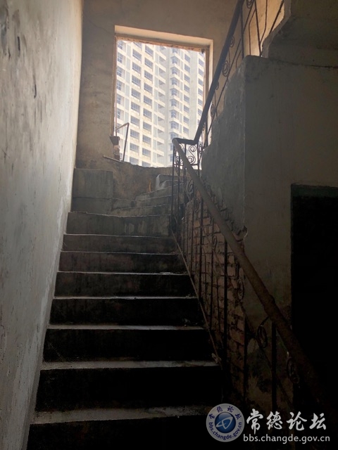 触屏版