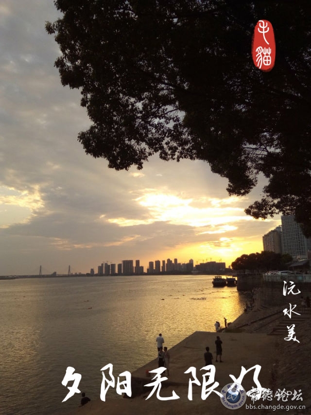 触屏版