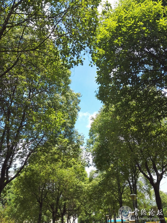 触屏版