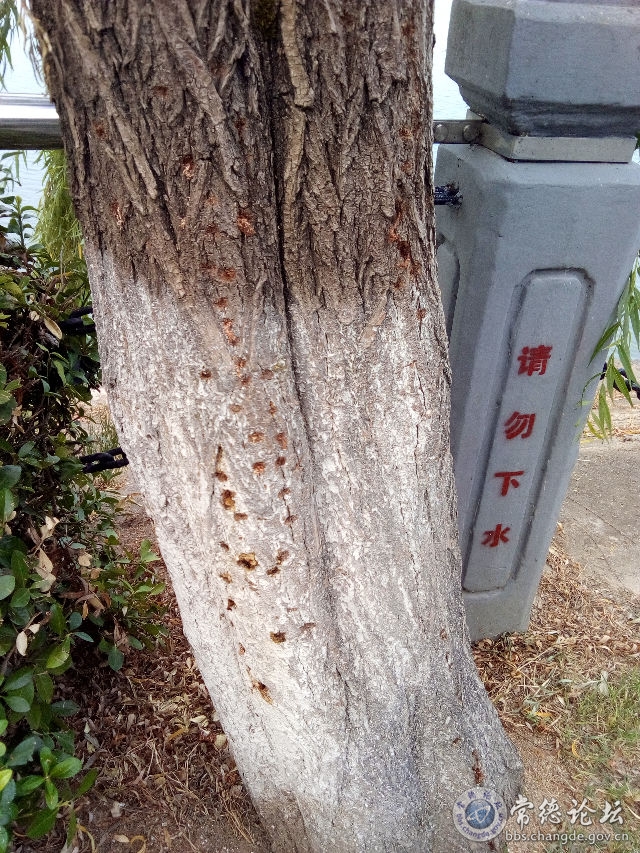 触屏版