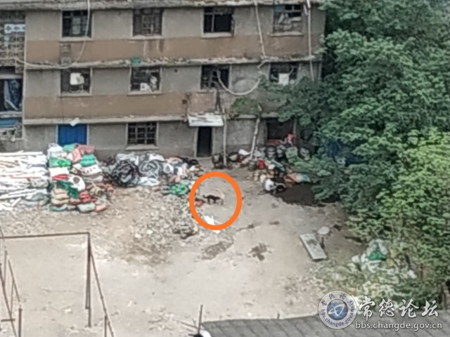 触屏版