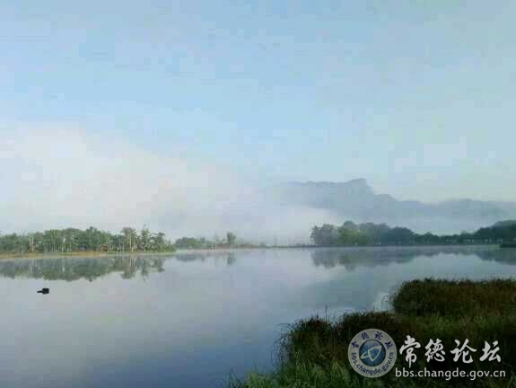 触屏版