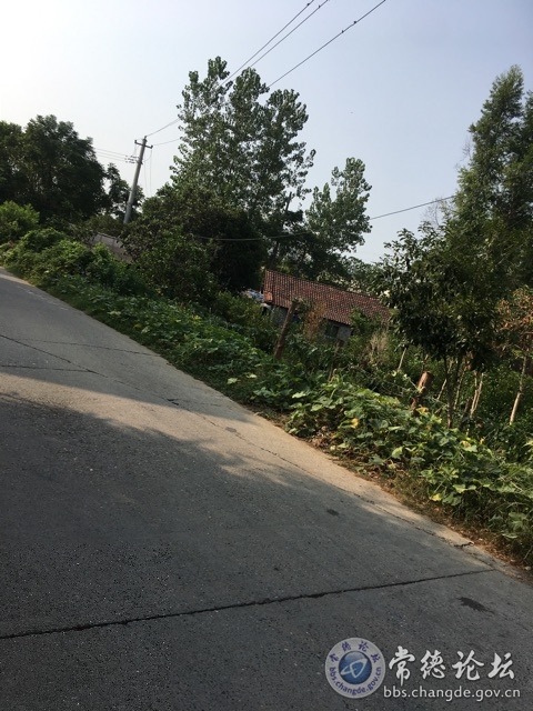 触屏版