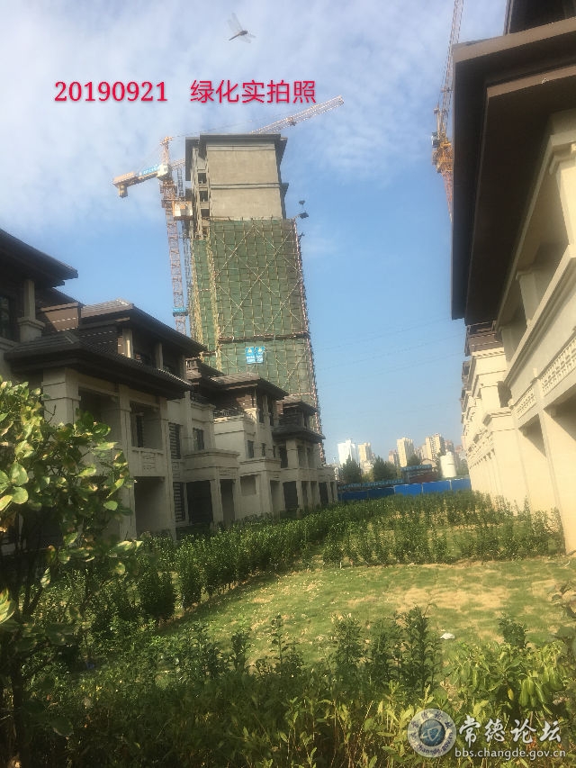 触屏版