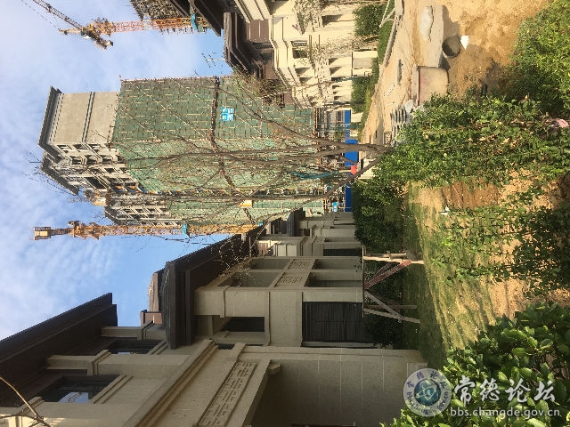 触屏版
