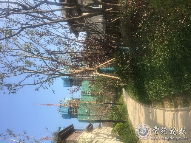 触屏版