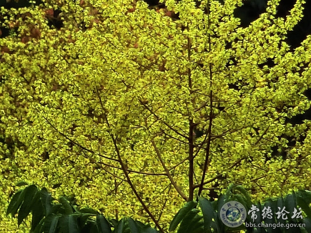 触屏版