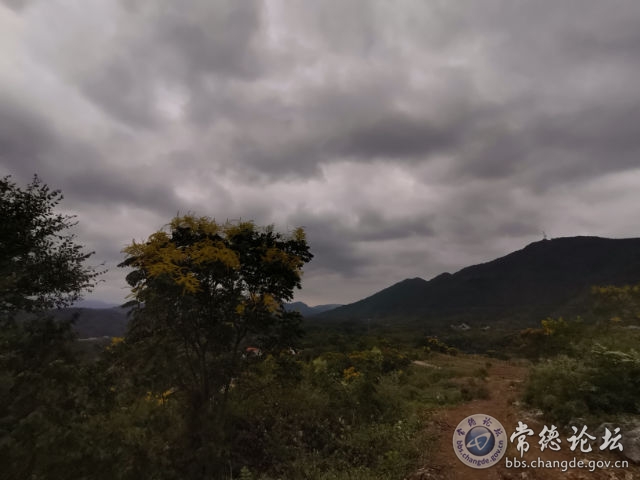 触屏版