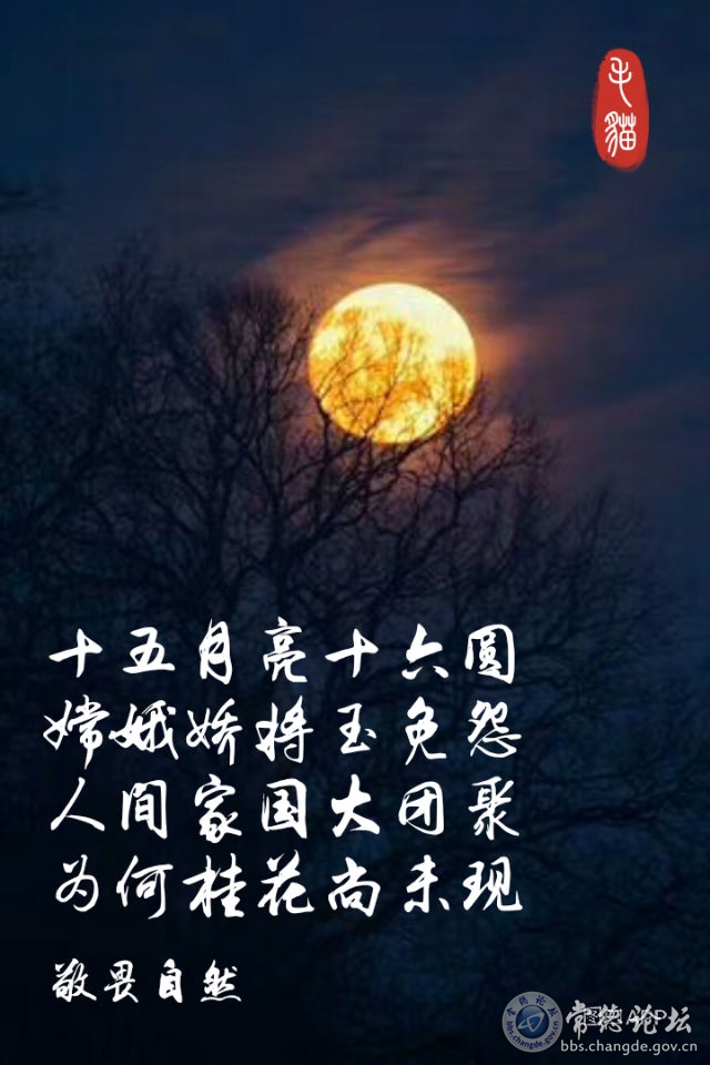 触屏版