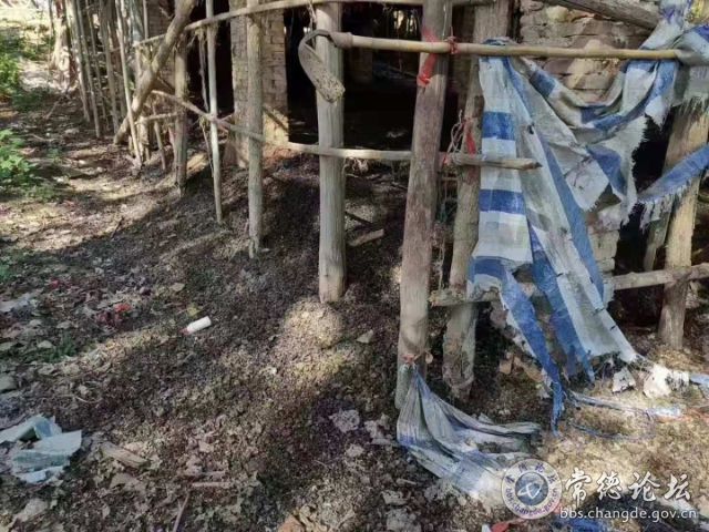 触屏版
