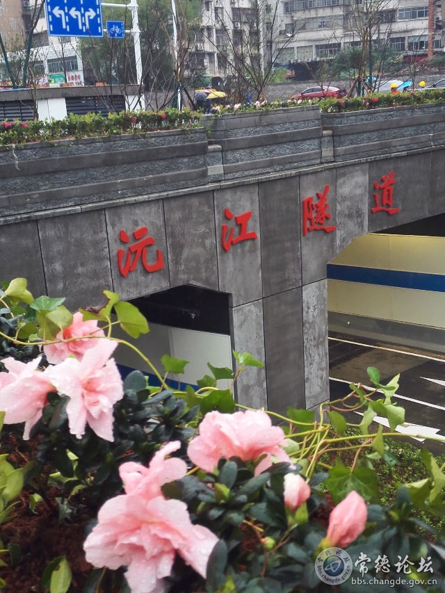 触屏版