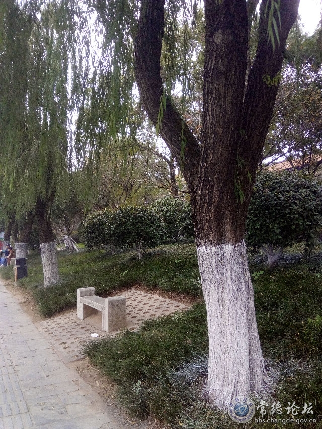 触屏版
