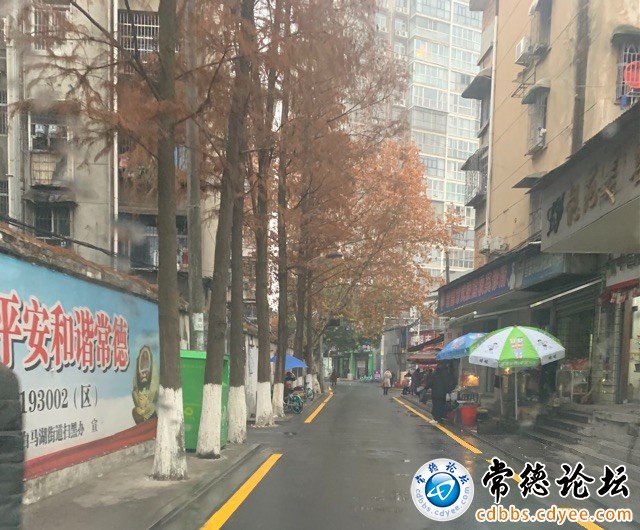 触屏版
