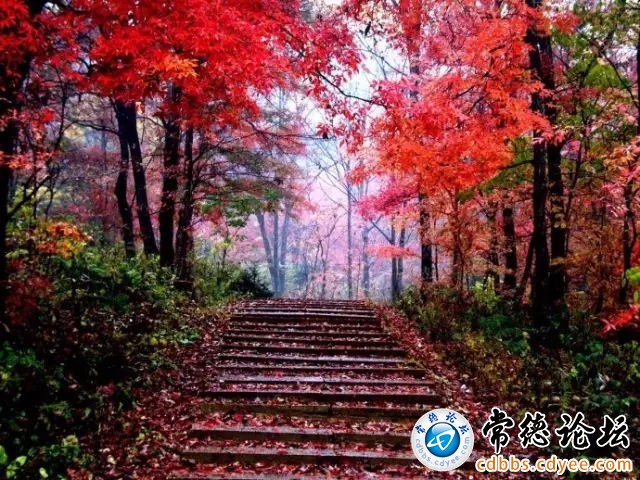 触屏版