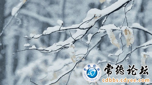 触屏版