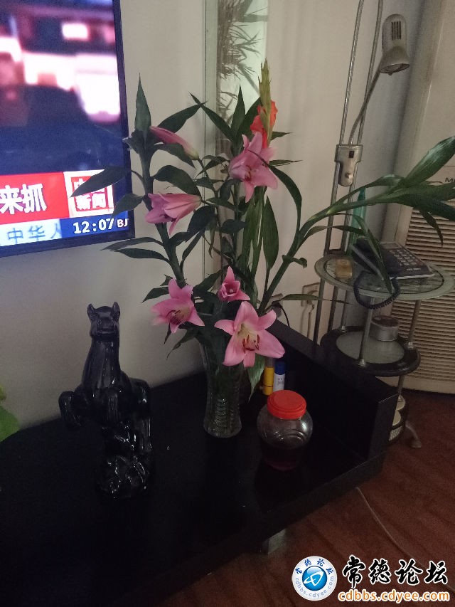 触屏版