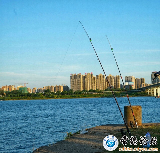 触屏版