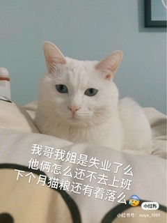 触屏版