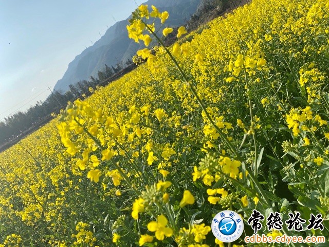 触屏版