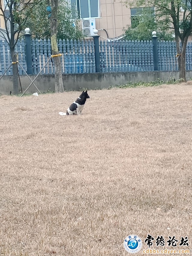 触屏版