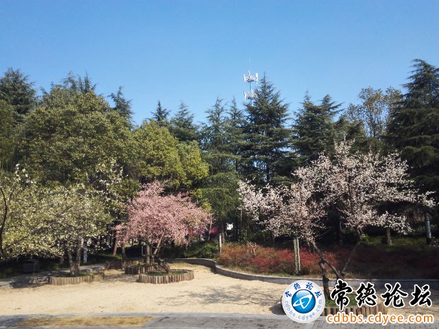 触屏版