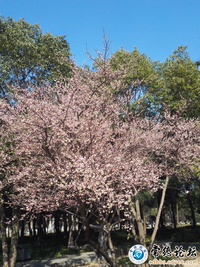 触屏版
