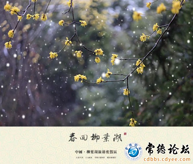 触屏版