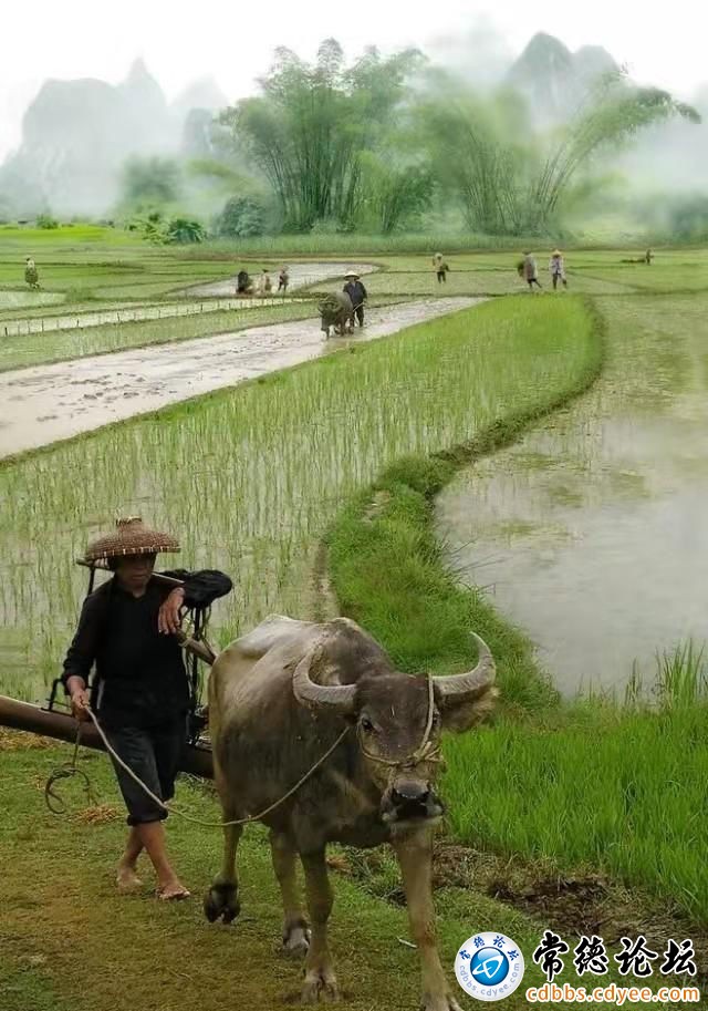 触屏版