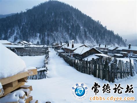 触屏版