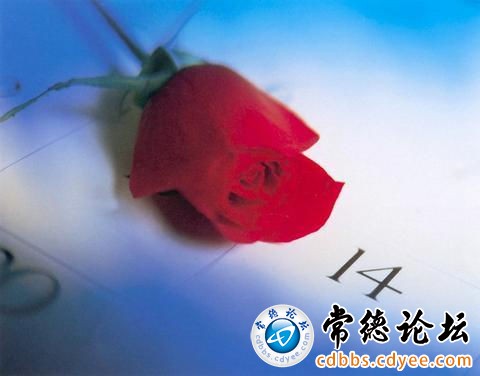 触屏版