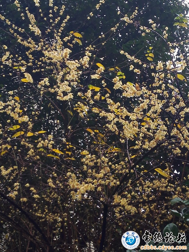 触屏版