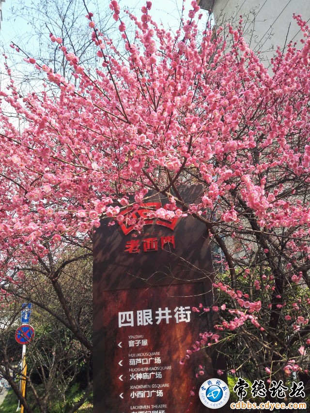 触屏版