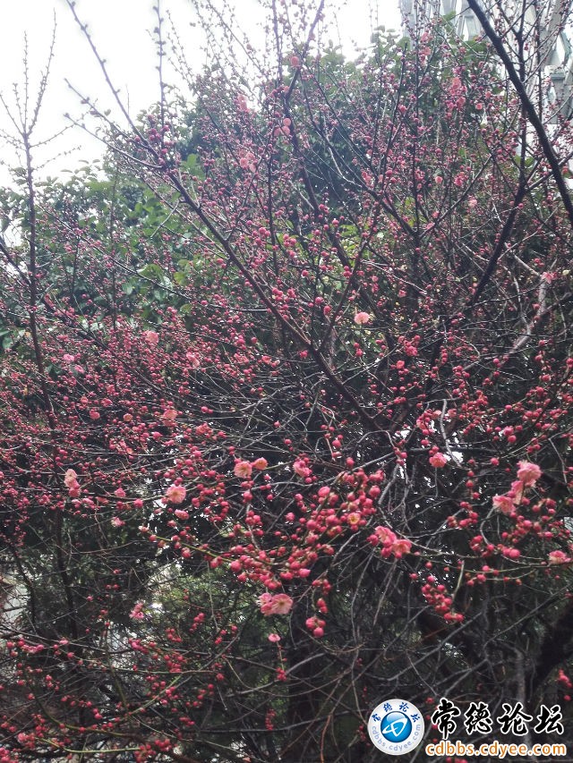 触屏版