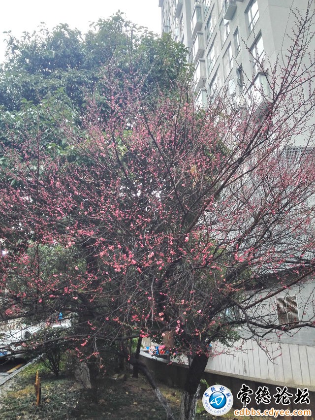 触屏版