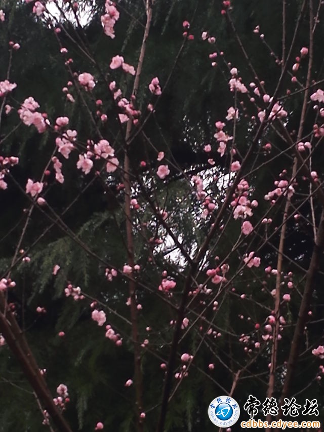 触屏版