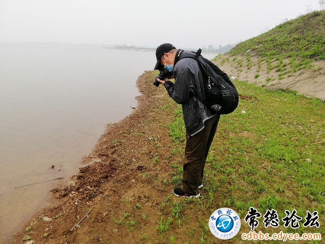 触屏版