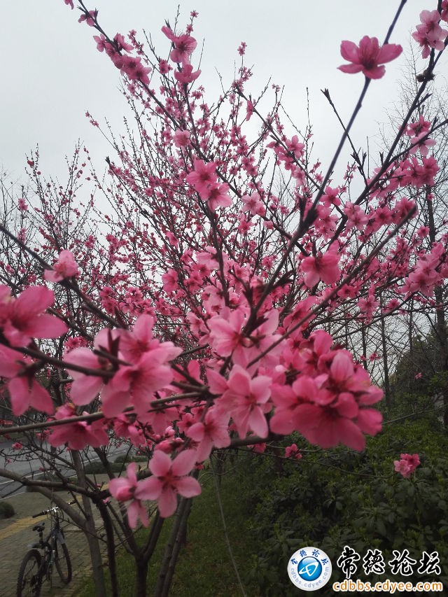 触屏版