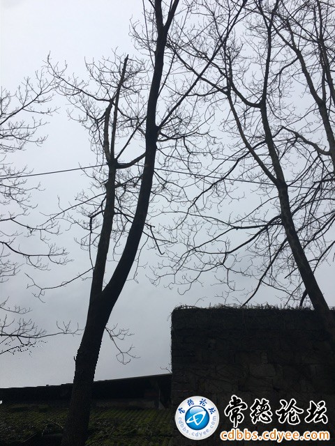 触屏版