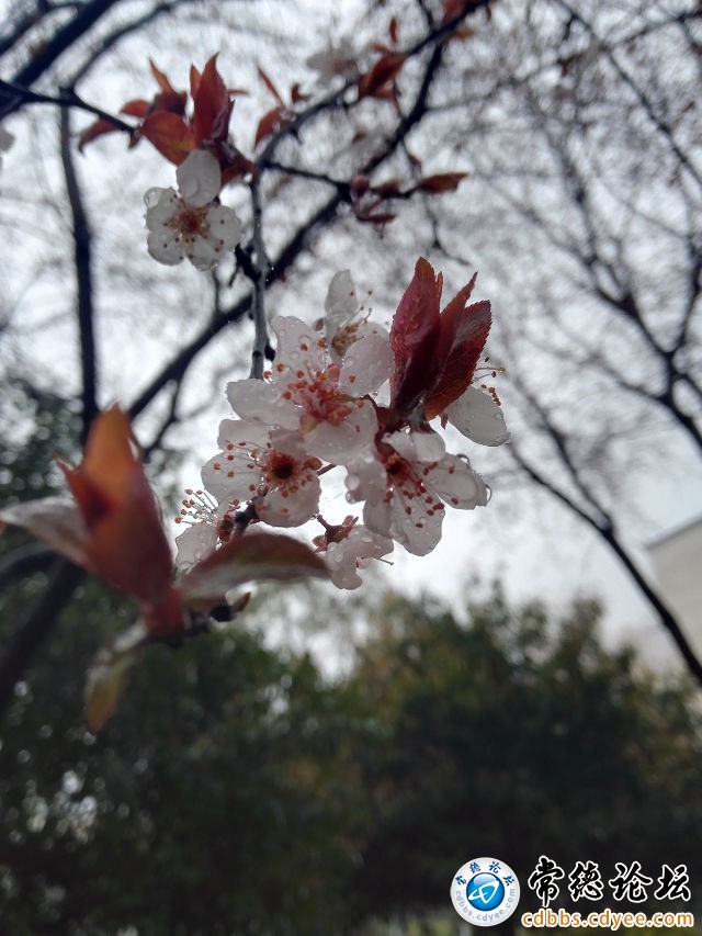 触屏版