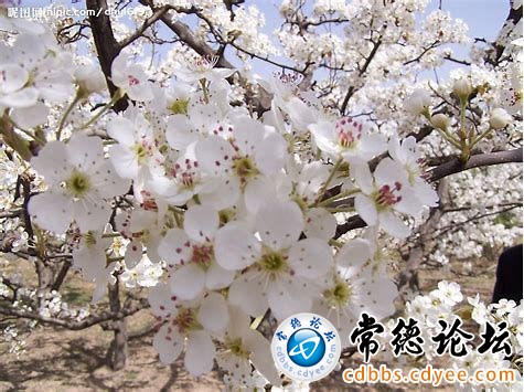 触屏版