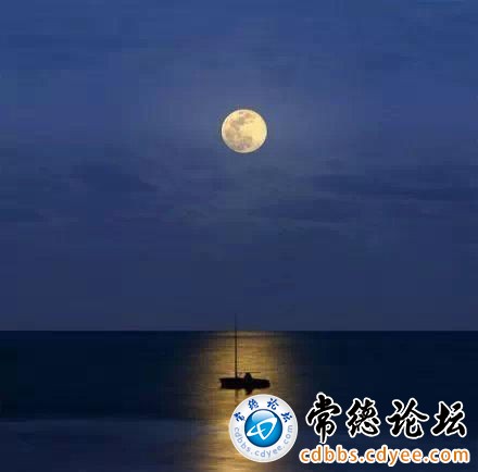 触屏版