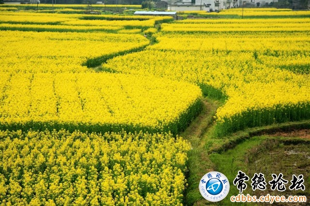 触屏版