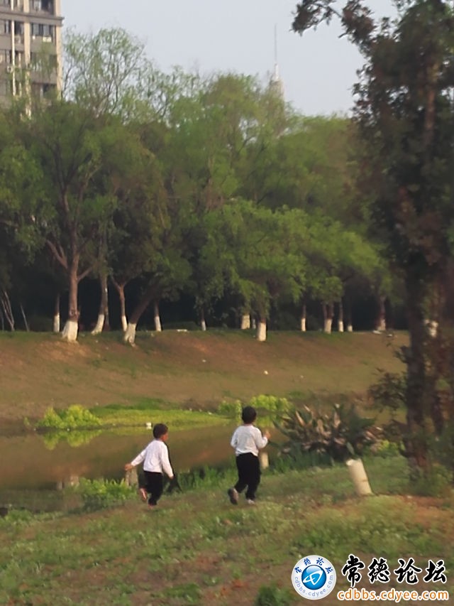 触屏版