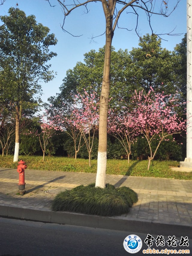 触屏版